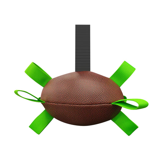 Dog chasing an inflatable soccer ball toy outdoors