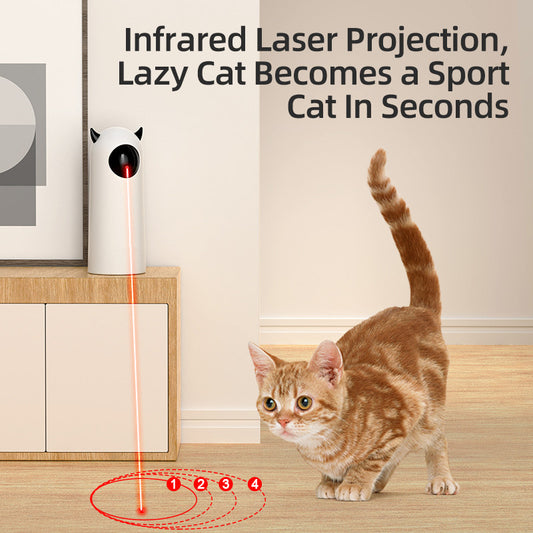 Cat pouncing on the moving infrared light from an automatic teaser toy