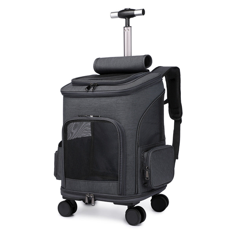 Folding pet carrier worn as a backpack for a cat or small dog