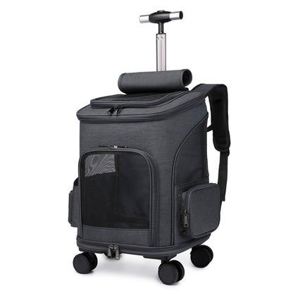 Folding pet carrier worn as a backpack for a cat or small dog