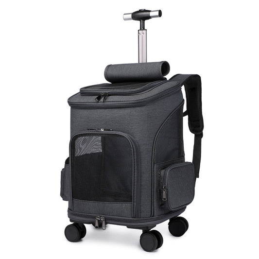 Folding pet carrier worn as a backpack for a cat or small dog