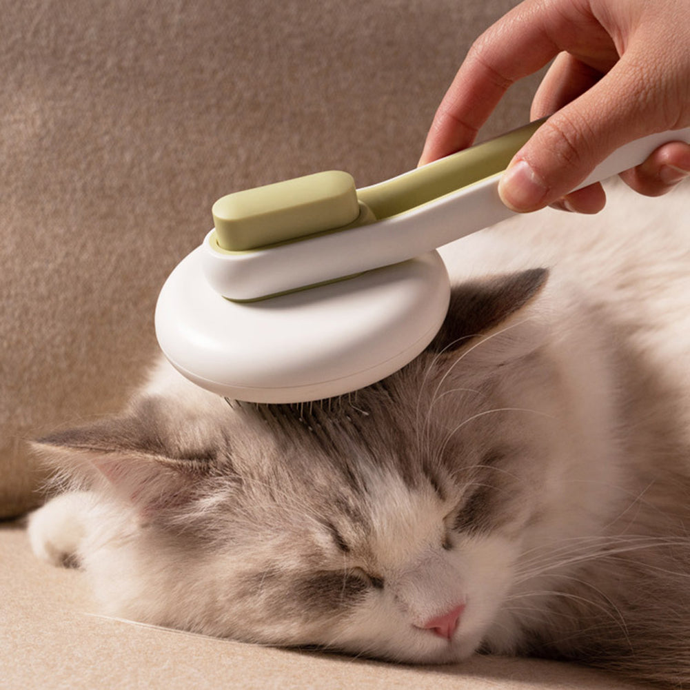Massage grooming brush color options blue, green and pink