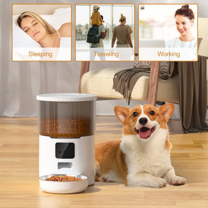 Petnki Smart Automatic Pet Feeder with 4L capacity for cats and dogs