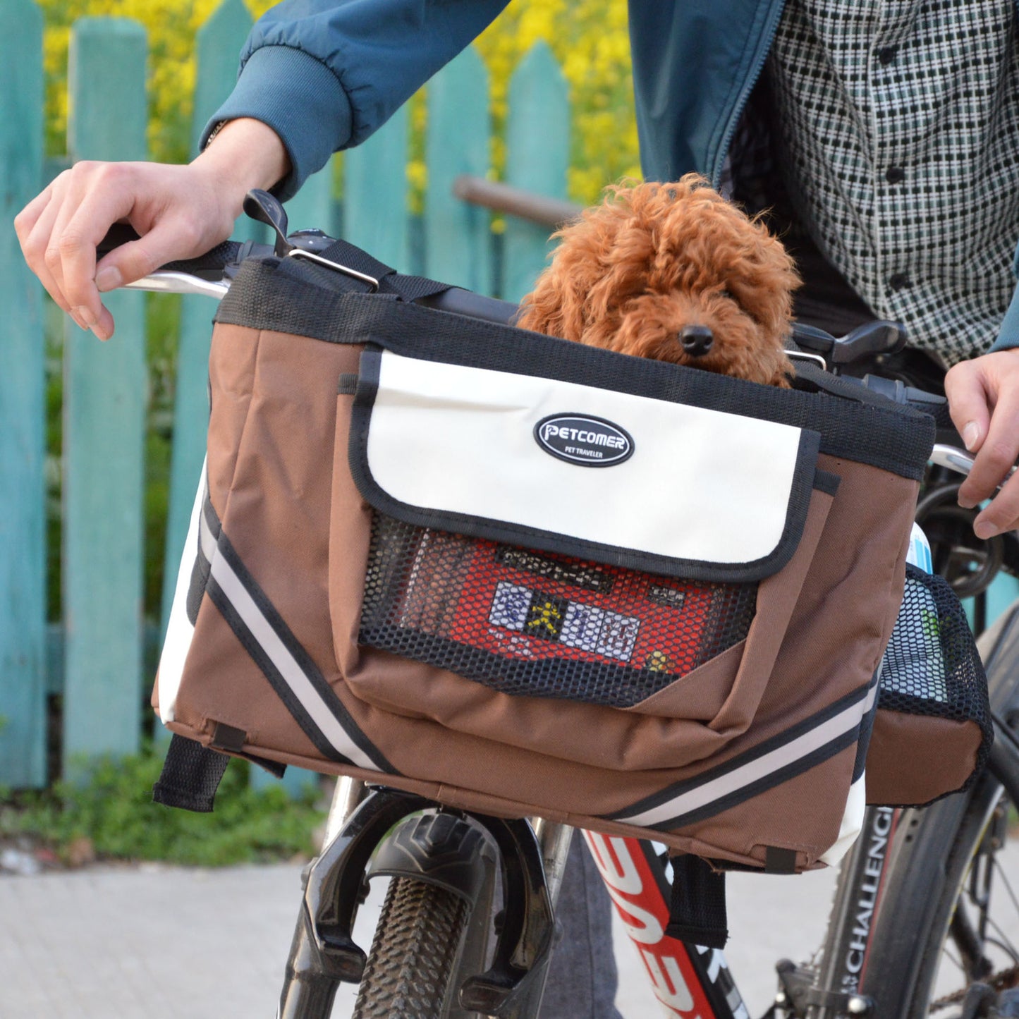 Small dog riding in a front-mount bike basket carrier