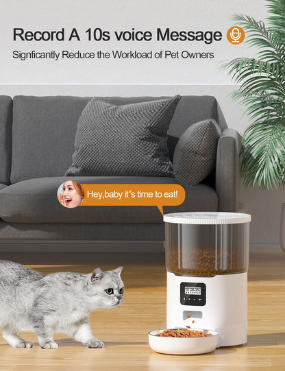 Automatic pet feeder dispensing a scheduled meal into the bowl