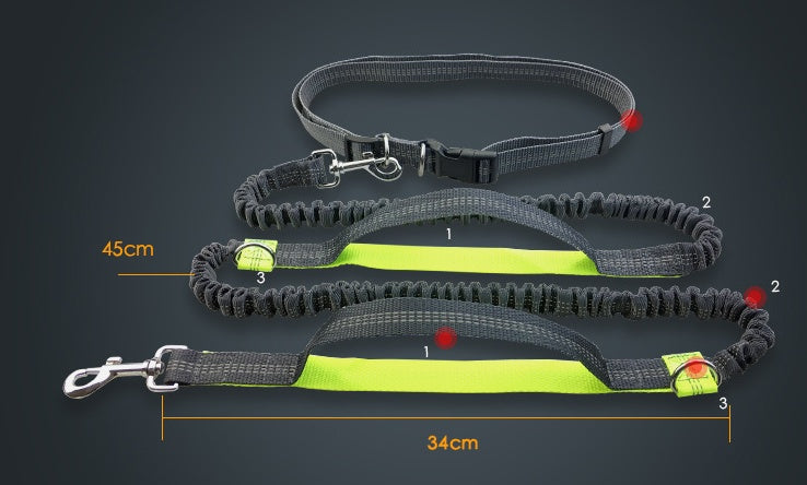 Reflective bungee dog leash with foam handle and accessory ring