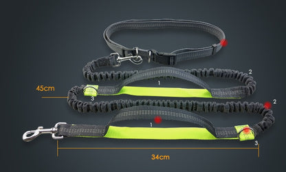 Reflective bungee dog leash with foam handle and accessory ring