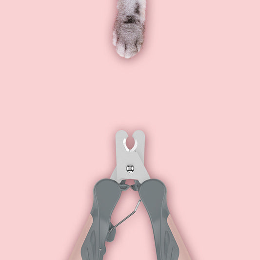 Pet nail clippers with soft non-slip grip trimming a dog's nails