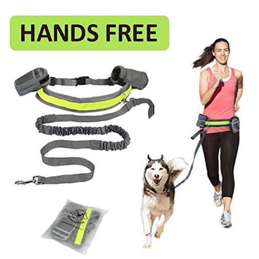 Petnki Hands-Free Running Dog Leash Set with adjustable waist belt