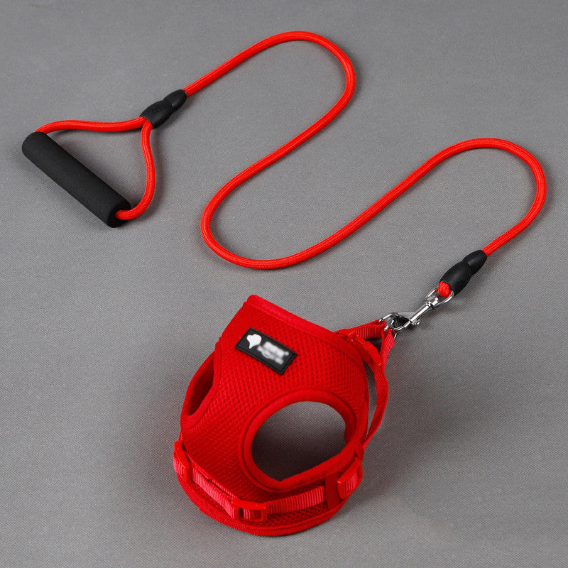 Dog collar and leash set color options blue, pink, red and yellow