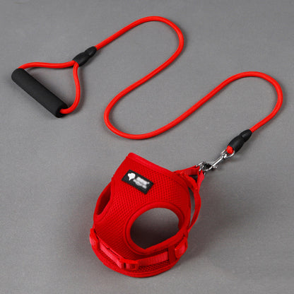 Dog collar and leash set color options blue, pink, red and yellow