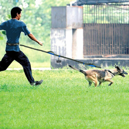Elastic bungee dog leash absorbing a dog's sudden pull on a walk