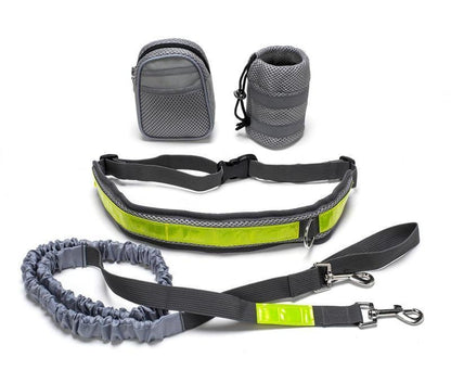 Four-piece hands-free running leash set for dogs in grey