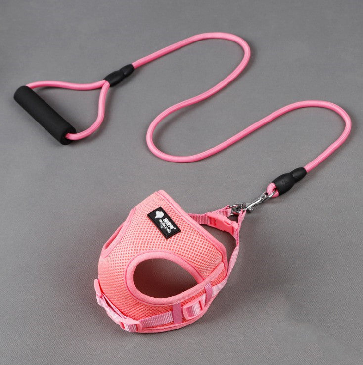 Soft foam-handle dog leash close-up for comfortable grip