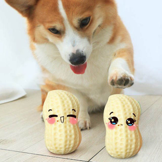 Petnki Bite-Resistant Peanut Squeaky Dog Chew Toy