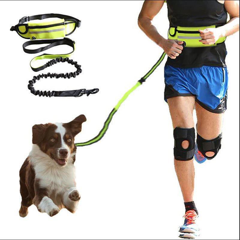 Petnki Hands-Free Running Belt with bungee leash for large dogs