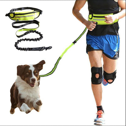 Petnki Hands-Free Running Belt with bungee leash for large dogs