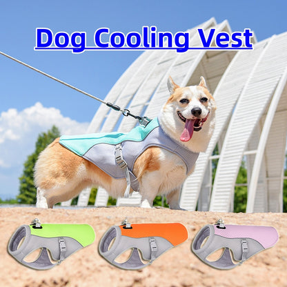 Petnki Summer Dog Cooling Vest in blue for hot weather walks