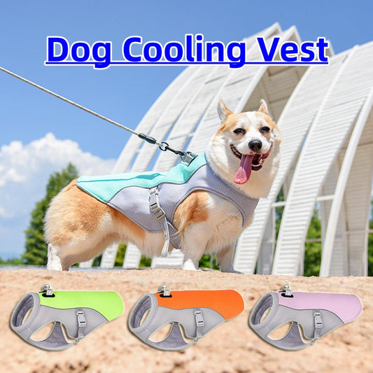 Petnki Summer Dog Cooling Vest in blue for hot weather walks