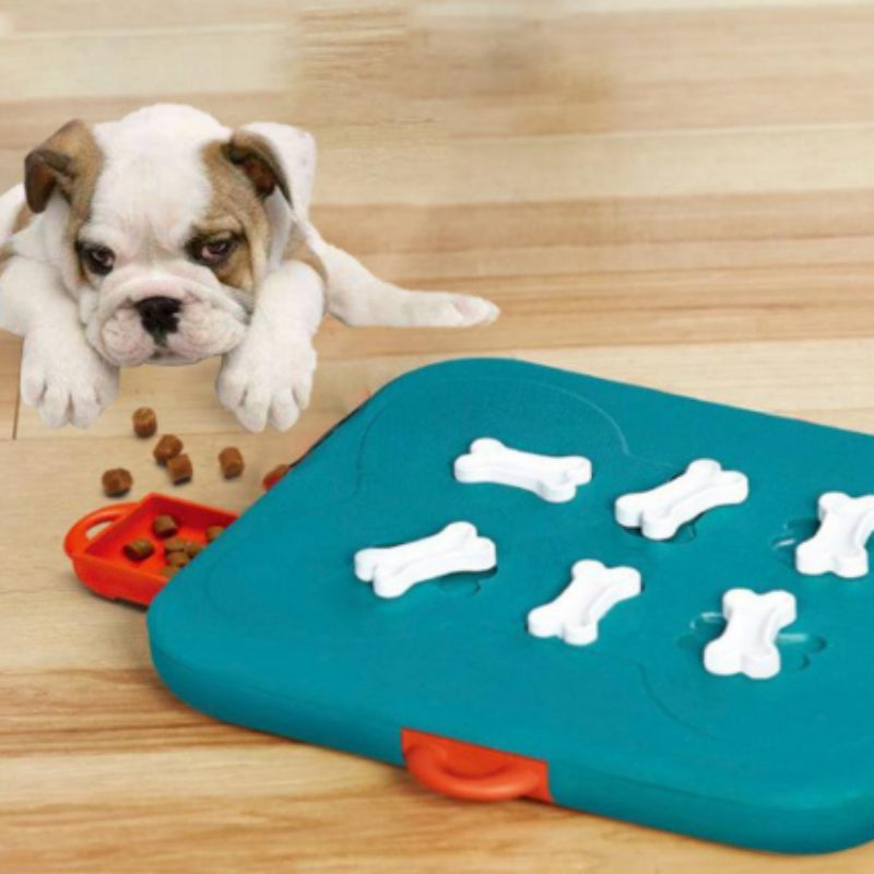 Petnki Treasure Hunt treat puzzle toy for dogs and cats in blue
